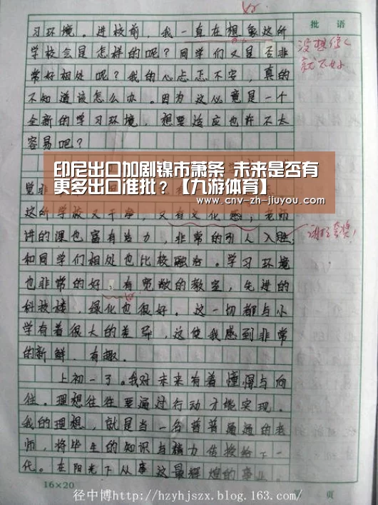印尼出口加剧镍市萧条 未来是否有更多出口准批?【九游体育】(图1) 九游体育