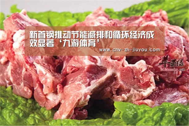 新首钢推动节能减排和循环经济成效显著‘九游体育’(图2) 九游体育