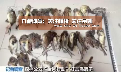九游体育:关注菲特 关注余姚(图2) 九游体育