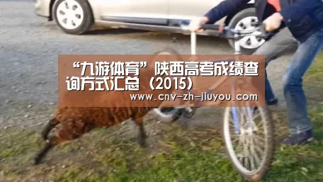 “九游体育”陕西高考成绩查询方式汇总(2015)(图2) 九游体育