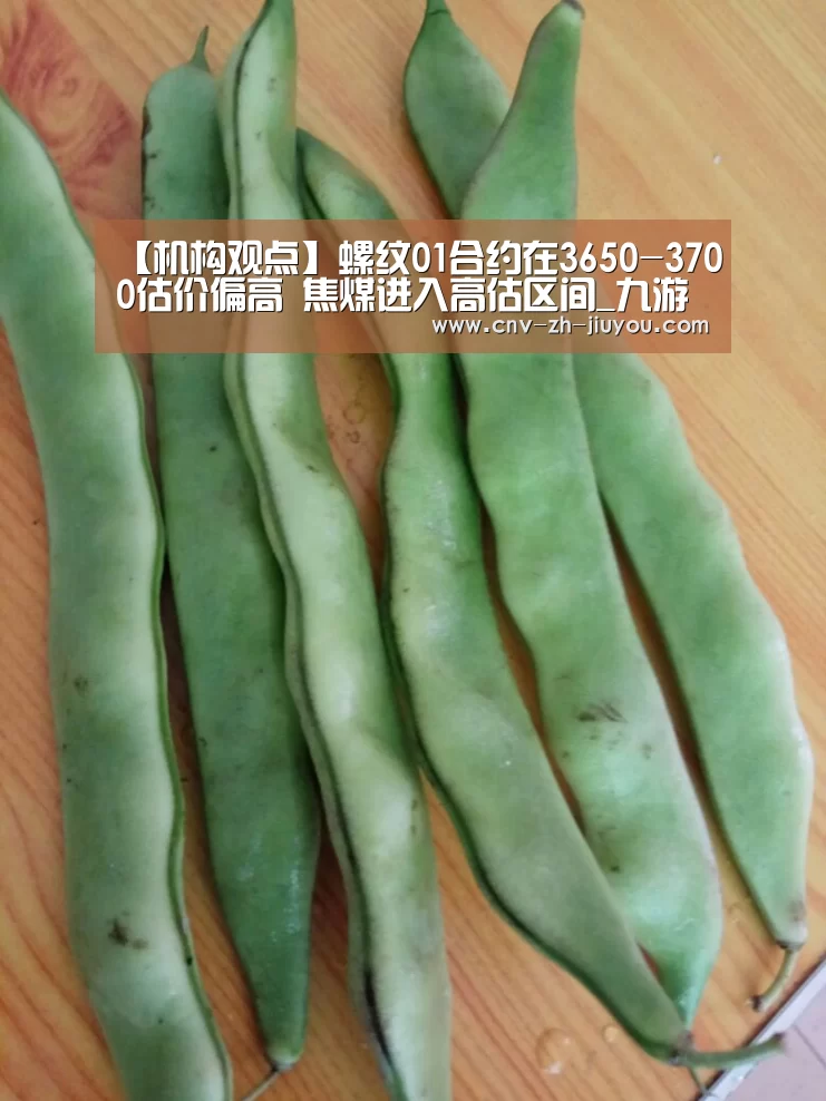 【机构观点】螺纹01合约在3650-3700估价偏高 焦煤进入高估区间_九游体育(图2) 九游体育