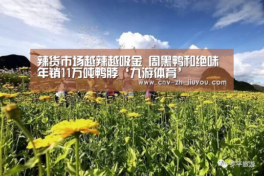 九游体育